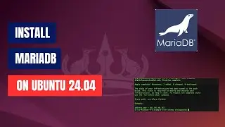 How to Install MariaDB on Ubuntu 24.04