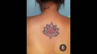 LOTUS TATTOO|| GIRL'S BACK TATTOO|| 6290147012 || Draw Line Tattoos||