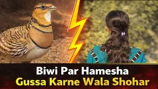 Biwi Par Hamesha Gussa Karne Wala Shohar || Urdu Kahani | Balochi Story | Kahani