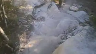 Manly Dam Mountain Bike Golf Course Single Track