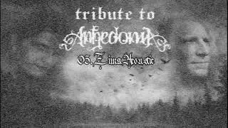 Anhedonia [POL] - A Tribute To The Dead Souls (2013/black metal/dsbm/Poland, Brodnica)