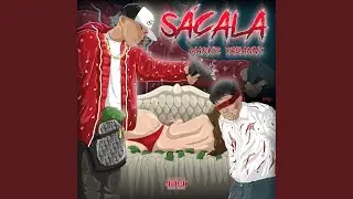 Sacala