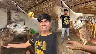 Lama Na Mera Sath Acha Nahi Kia 😰