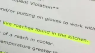 Bulldog BBQ owner faces Local 10 News after violations found
