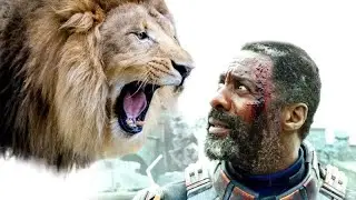 Beast (2022) Movie Explained in Hindi/Urdu | Beast Lion Hunt Summarizedहिन्दी