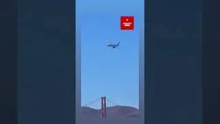 Watch till the end! 🛫Pelicans soar alongside a United Boeing 777 as it flies over San Francisco Bay 