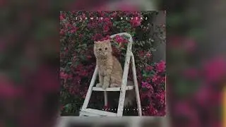Ooes — Последнее лето | slowed + reverb |