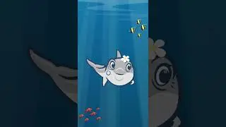 Dolphin sleep and brain habit Saga...