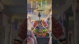 உறையூர் கமலவல்லி நாச்சியார் திருக்கோயில். திருவாய்மொழி திருநாள் இராப்பத்து முதல் நாள்.