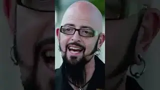 Агрессивные коты бросают вызов Джексону Гэлакси! #jacksongalaxy #catexpert #cat | Мой кот из ада