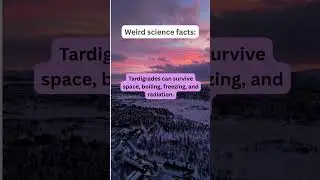 Are you curious enough?!#sciencefacts #sciencefactsinenglish#sciencefactsforkids#sciencefact#curios