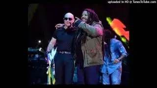 Pitbull ft. Stephen Marley - Options  (Original Instrumental)