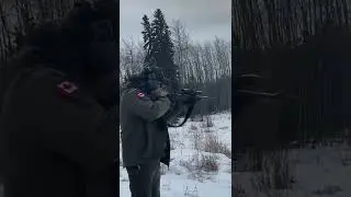 Shots out of the Mossberg MVP scout .308/7.62x51