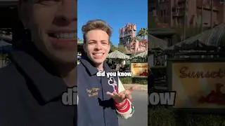I Stayed In The Tower of Terror IRL