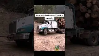 LOGGING TRUCK STRUGGLING 🤔#viral #shorts #automobile #logging