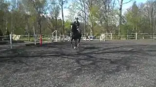 CIMG1330