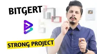 Bitgert Strong Project