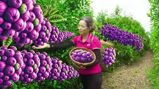 Harvesting purple tea on high hills to sell at the market - the art of tea tasting of a country girl