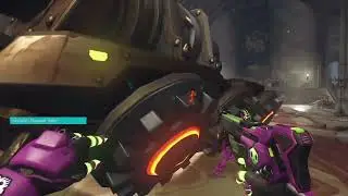 Illgeal dies after successfully crossing the border