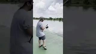 That&rsquo;s not how you net a fish&hellip; #shorts