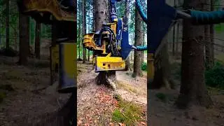 Real Life vs Farming Simulator #5 #farmingsimulator #тёмин #fs25