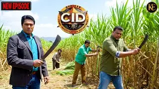 खेत बना क्राइम सीन! CID ने गन्ने काटते-काटते पकड़ा बड़ा सुराग | CID Season 2| CID New Episode 2025