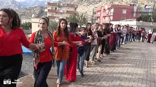 SİLOPİ (BESPIN) SERCAN ERCAN İN MUHTEŞEM MİTİNG GİBİ DÜĞÜNÜ UZUN VERSİYONU GRUP WELAT SİLOPİ 2019