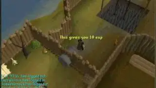 Runescape Barbarian Outpost Agility Course Guide