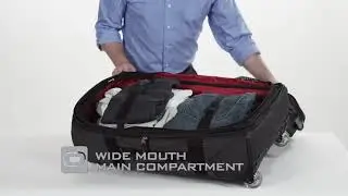 OGIO Terminal
