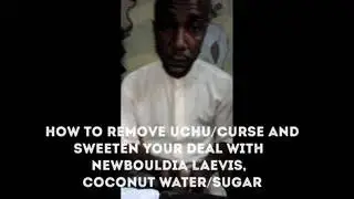 How to remove Uchu/Curse using newbouldia laevis(Ogirisi) and Coconut water/Sugar