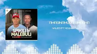 Amasinamuva Amasha feat. Ndumiso Luthuli - Naledi (Visualizer)