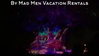 2019 Disney&rsquo;s Animal Kingdom Holiday Light Show on the Tree of Life: WWW.MADMENVACATIONRENTALS.COM