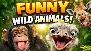 Non Stop Funny Animals 🤣🤣🤣#funny #lion #horse #animals #comedy #animals #animalworld #usa #wildlife 