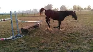 salto2
