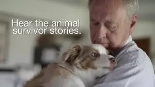 ACVIM Animal Survivor Promo 2016