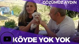 Köyümüzde bu hafta.... #fırtına  #köydeyaşam #bamya #sevimlihayvanlar #köyhayatı #naturallife #doğa