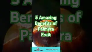 5 Amazing Benefits of Palmyra Fruit! | #carecrash