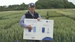 Improving nitrogen use efficiency - Lamport AgX