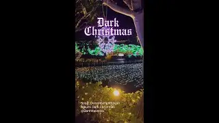 Decembers Whisper from the Dark Christmas Album