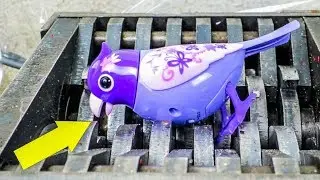 Singing DigiBird Shredded! What's Inside a Singing Robotic Bird? Slime Squishy Toy Mecard Toys FNAF