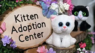 Beanie Boo Stuffed Animal Kitten Adoption Center for Kids Birthday Party