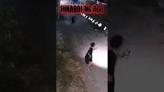 HINABOL NG ASO (RAW VIDEO)