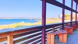 Sea State Tateyama, Japan | Travel With Suruchi