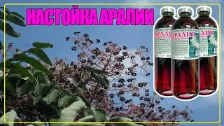 АРАЛИЯ МАНЬЧЖУРСКАЯ НАСТОЙКА ИНСТРУКЦИЯ ПО ПРИМЕНЕНИЮ | Показания, свойства, противопоказания, дозы