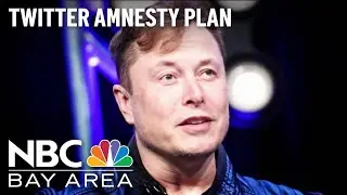 Twitter Users, Experts Raise Concerns Over Elon Musk's &lsquo;Amnesty' Plan
