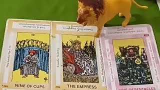 English Hindi#sanyogitagour24 Tarot cards reading