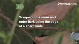 How to Make Aspirin If You Are Lost in the Woods