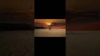 This Desert Will Leave You Speechless 🏜️🇳🇦