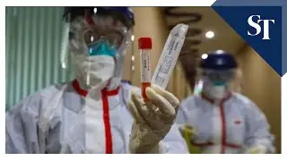Coronavirus: Chinese scientists find 'effective' antibodies