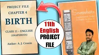 Birth | Class 11 Snapshots Chapter 4 | PROJECT FILE 